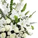 Xochiayo flowers  -  Symbols of unconditional love Flower Bouquet/Arrangement