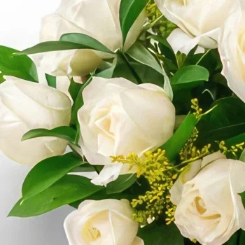 manaus kukat- Kori 24 valkoisella ruusulla ja suklaalla Kukka kukkakimppu