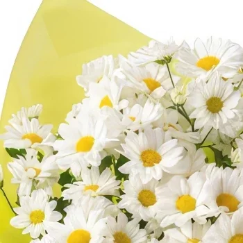 Manaus flowers  -  Vase of Daisies for Gift and Chocolate Flower Bouquet/Arrangement