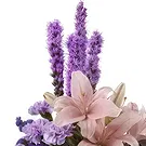 El Ancon flowers  -  Purple temptation Flower Bouquet/Arrangement