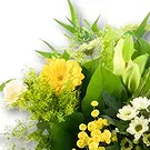 Holland flowers  -  Bouquet Good Wishes Flower Bouquet/Arrangement