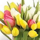 Bani Yas City flowers  -  Yellow Bouquet Flower Bouquet/Arrangement