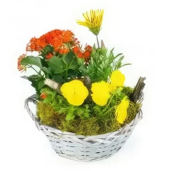 fleuriste fleurs de Toulouse- Coupe de plantes jaunes & orange Primula Bouquet/Arrangement floral