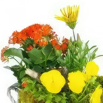 Lyon bunga- Piala Tanaman Primula Kuning & Oranye Rangkaian bunga karangan bunga