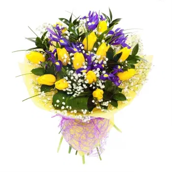 시칠리아 꽃- 노란 튤립과 푸른 붓꽃의 꽃다발
